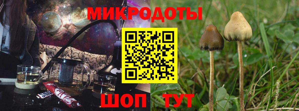 Галлюциногенные грибы Magic Shrooms Баксан