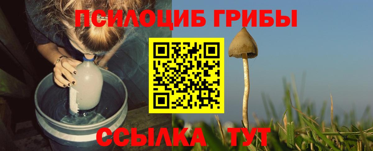 Псилоцибиновые грибы Cubensis  Псилоцибиновые грибы мухоморы  Вход с VPN  Баксан 